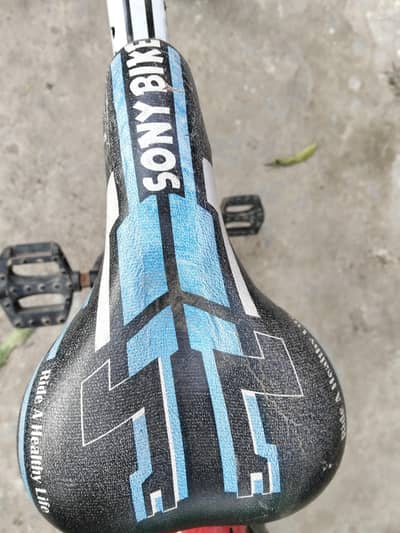 Sumac bicycle  for sale