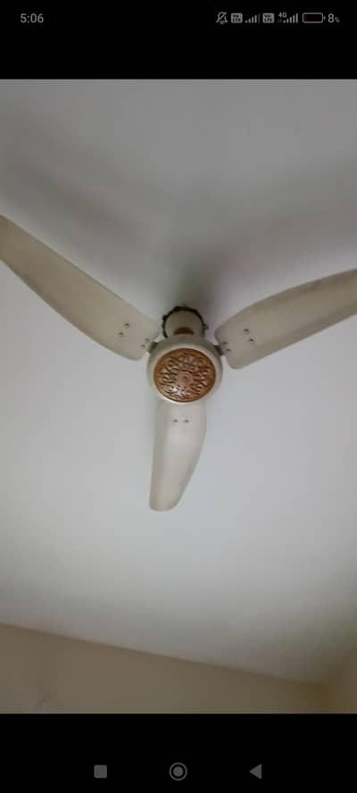 Royal Fan Good Condition