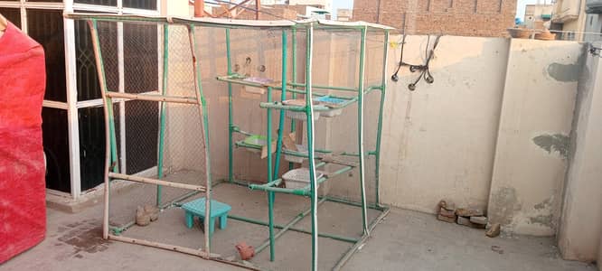 birds cage