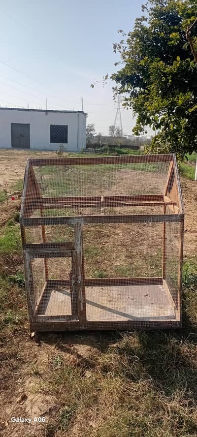Hen Cage For Sale