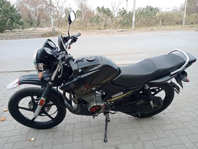 YBR125G 2022 *0330-5281741*