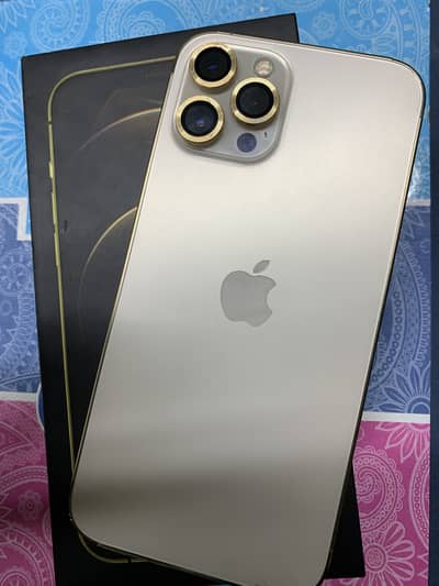 12 promaxx PTA APPROVE