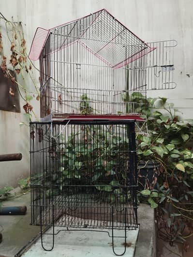 cages for sale