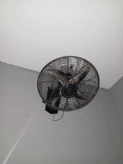 Medium Bracket Fan