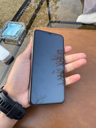iPhone 11 Pro Max PTA Approved 256 GB Dual Phy SIM