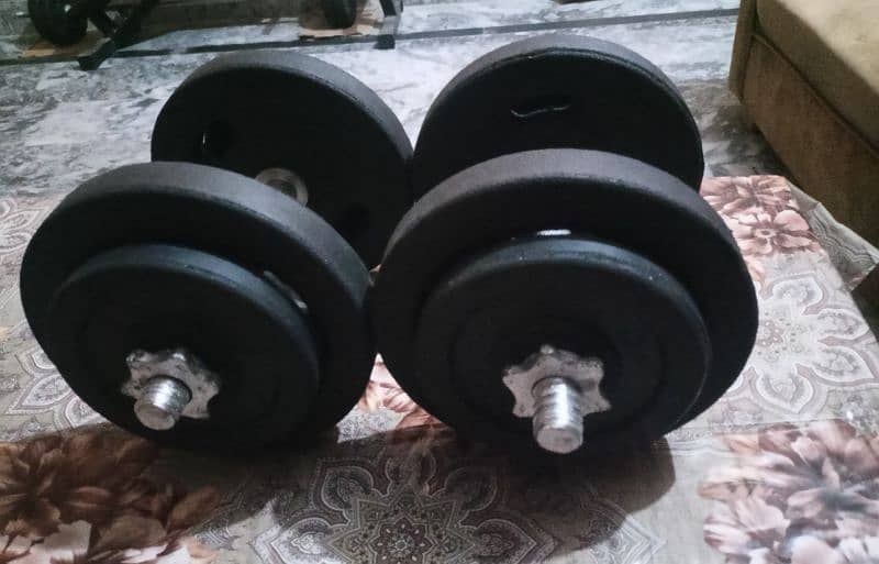 Adjustable Dumbbells. 1