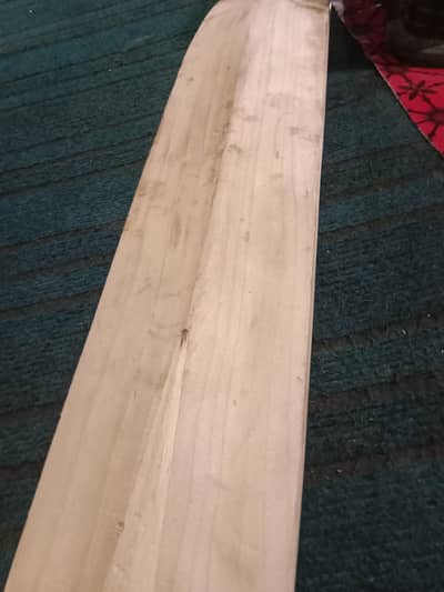 Cricket Bat (Hard Ball)