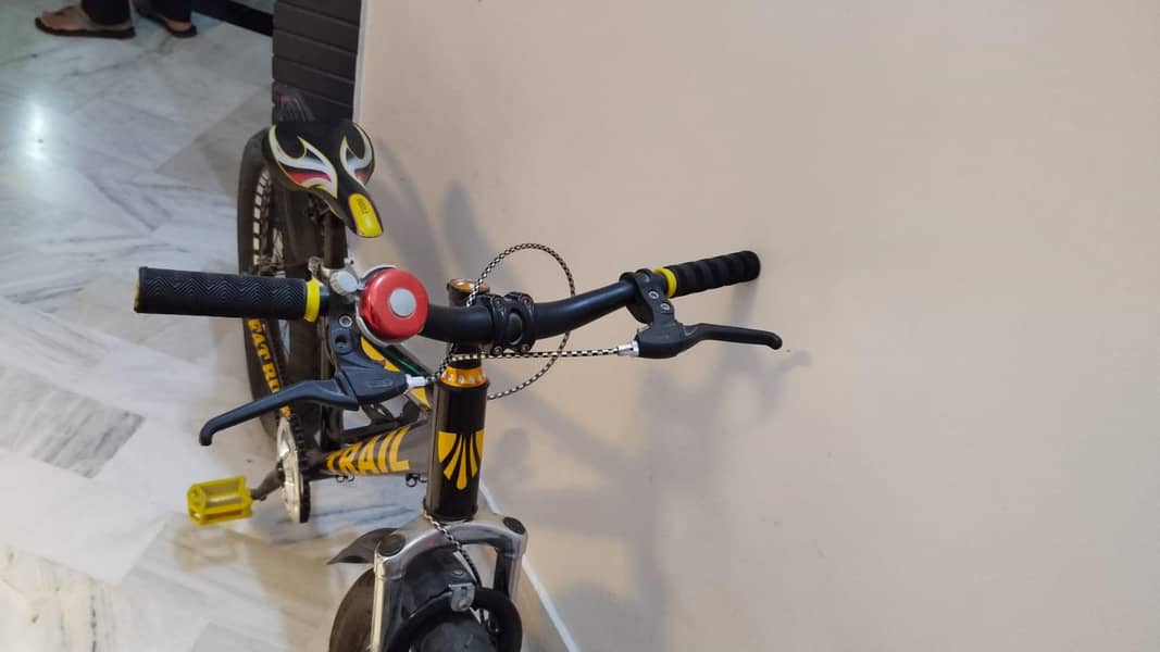 bicycle 2