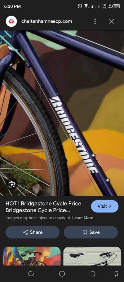 Bridgestone cycle japan