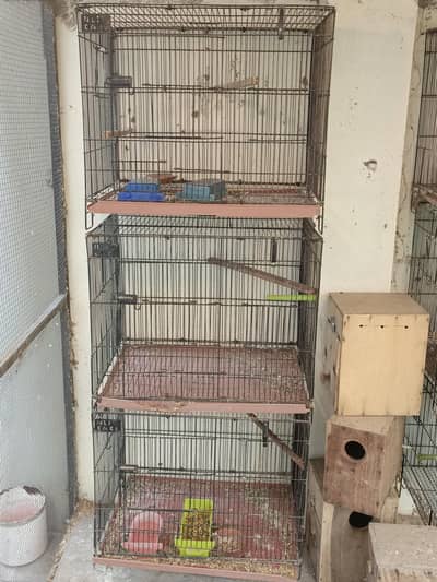 3 portion cage for sale