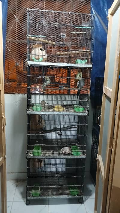 Master Folding Cage 24"x18"x18 4 Portions