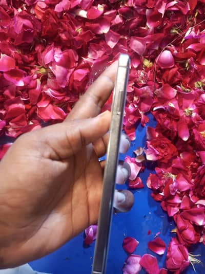 tecno spark 20 pro plus ha all ok ha  finger print nhi work karta
