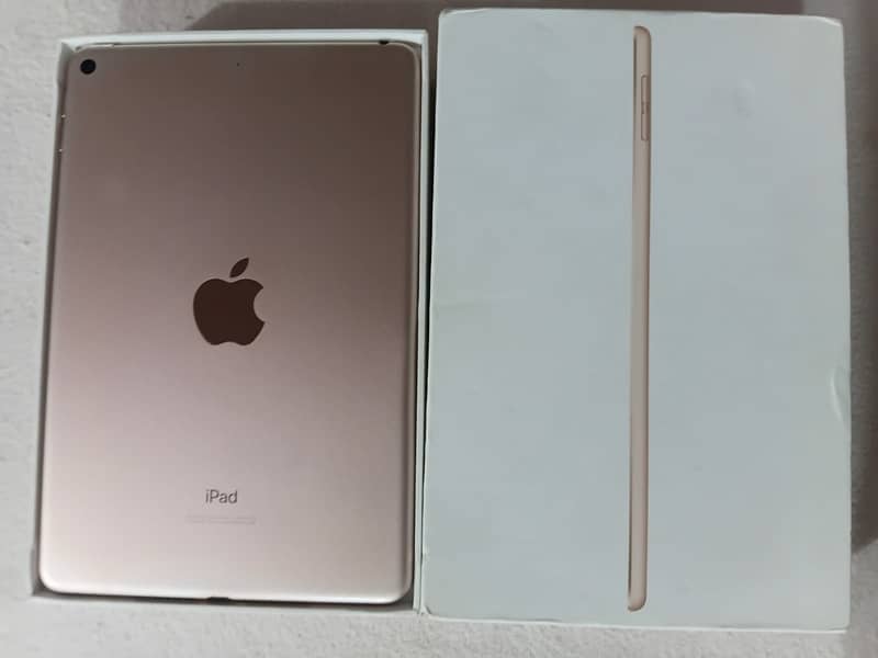 Ipad mini 5 1