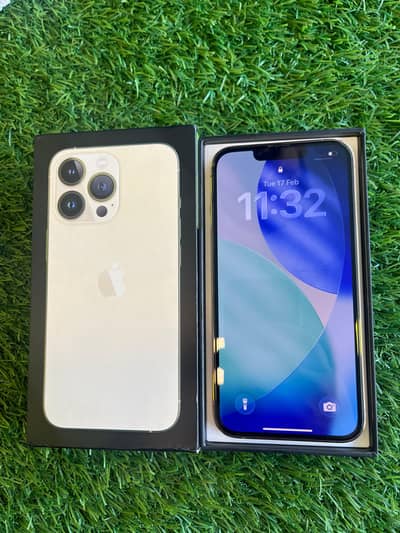 iPhone 13 Pro PTA Approved