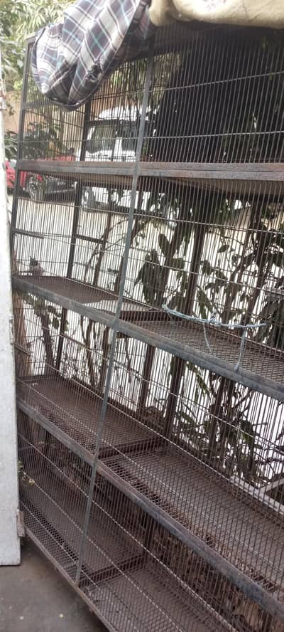 Large Metal Pigeon Cage