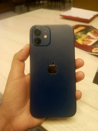 Iphone 12 256 gb