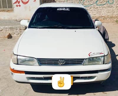 add poora prhe only on WhatsApp number