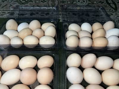 Pure Desi organic eggs