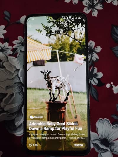 Oppo F15 8/128 10by10