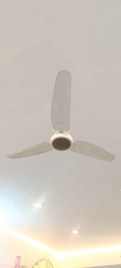 Ceiling Fans