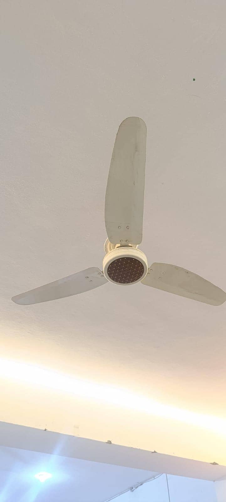 Ceiling Fans 1