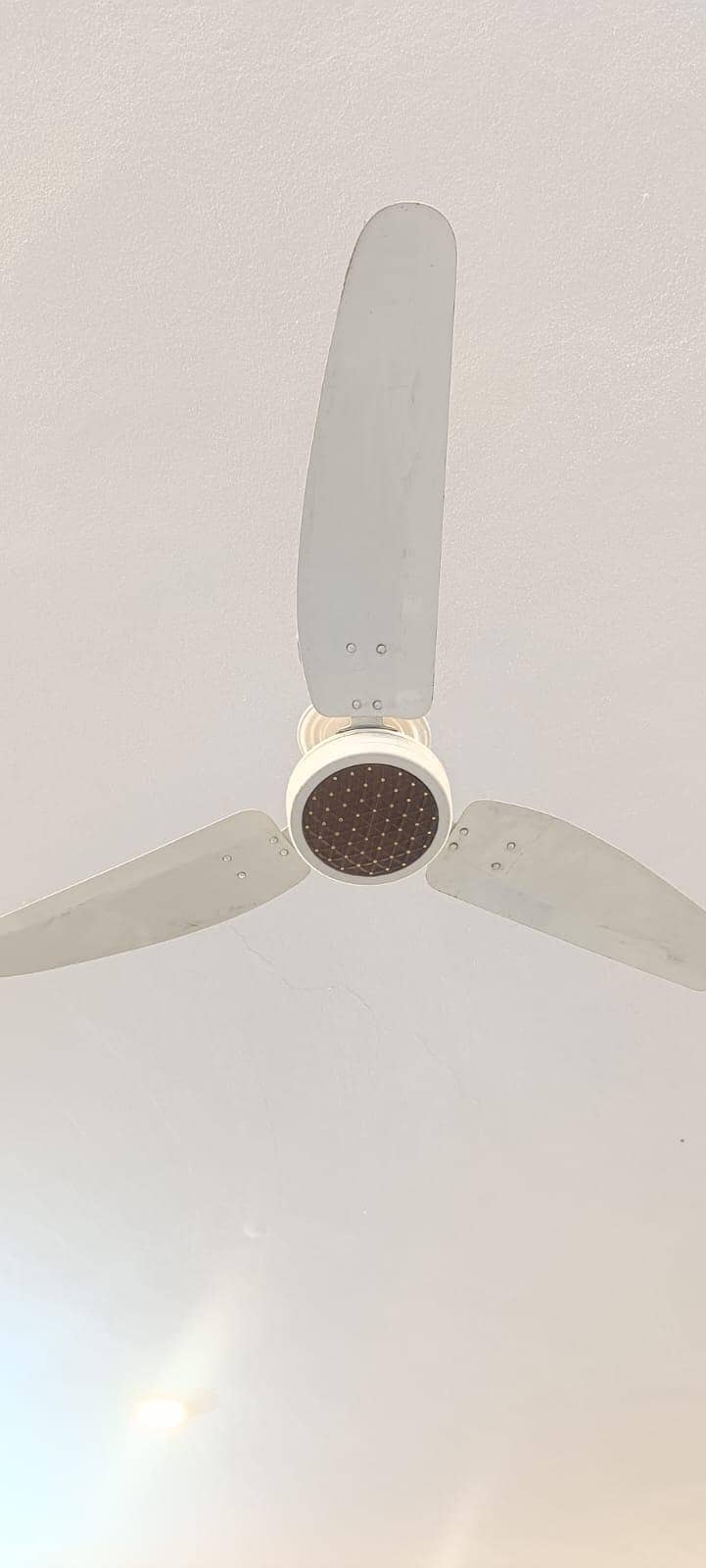 Ceiling Fans 3