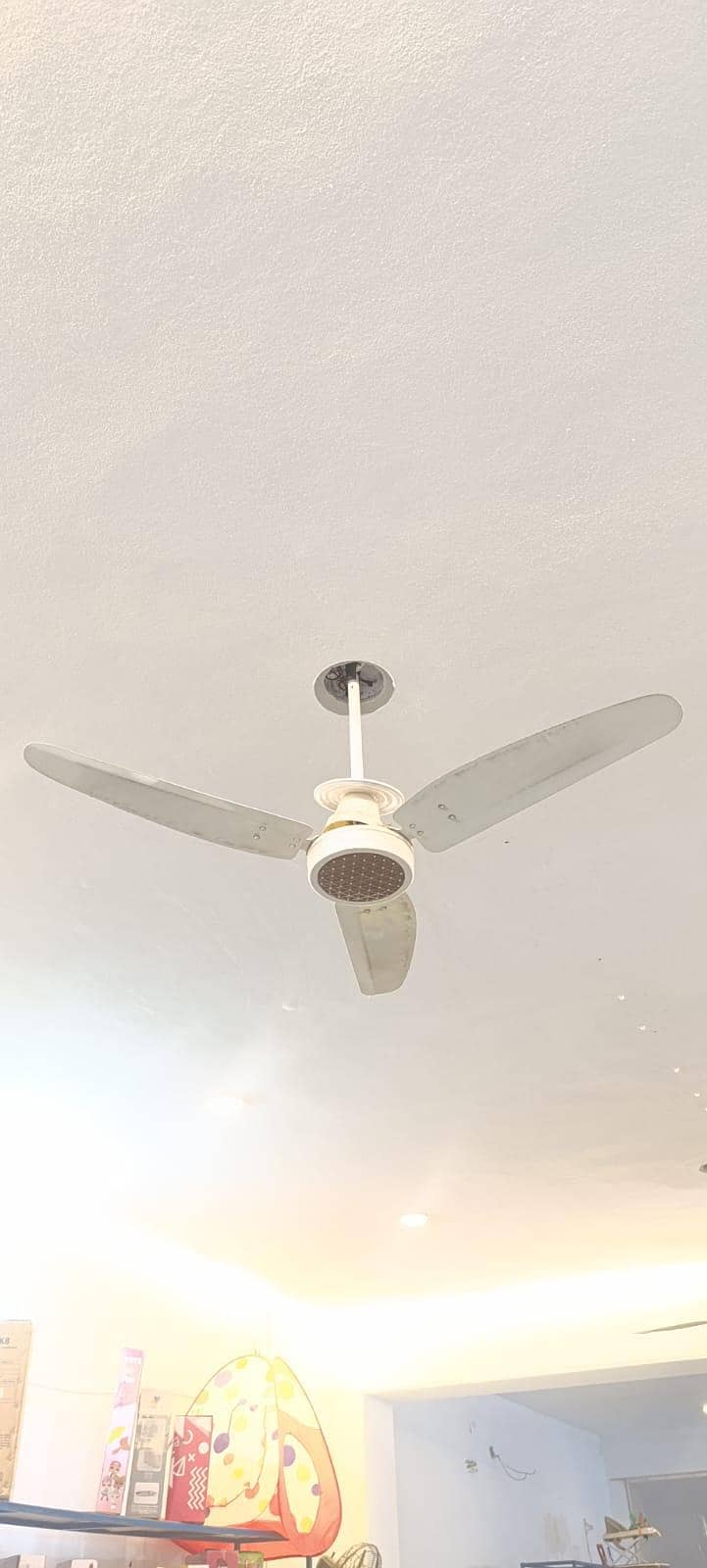 Ceiling Fans 5