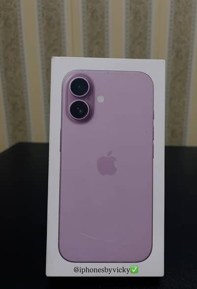 Iphone 16 Pink Colour