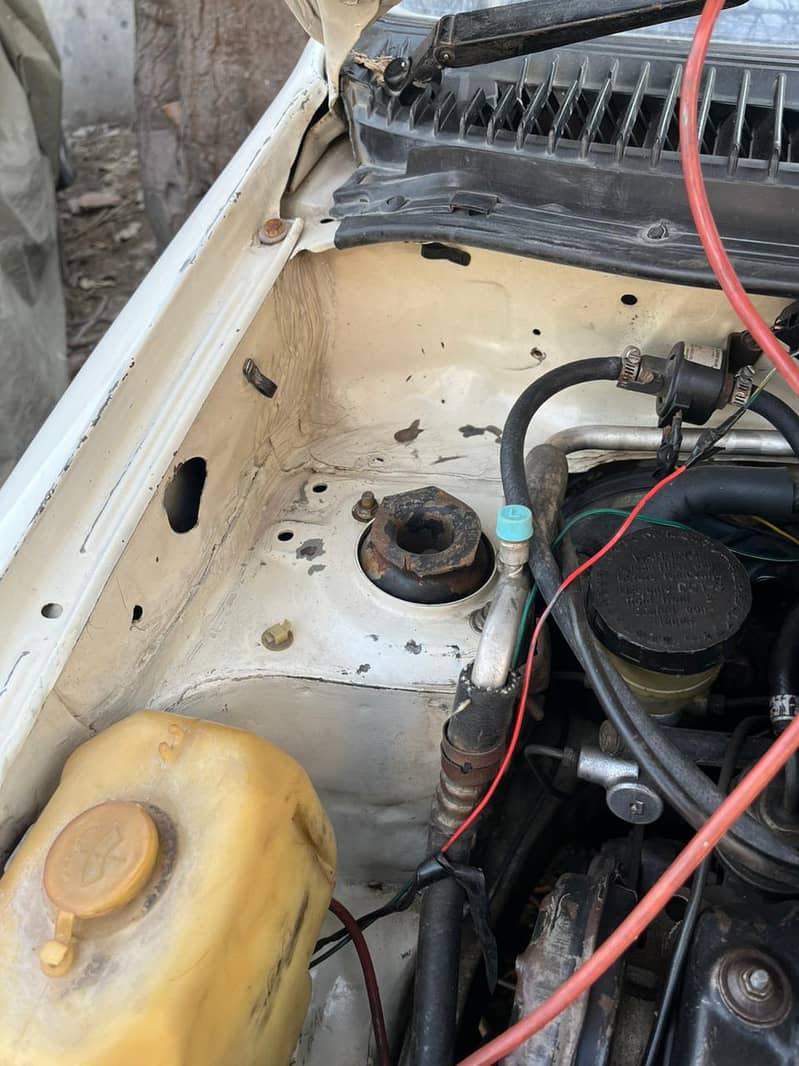 Cuore Mint Condition 3