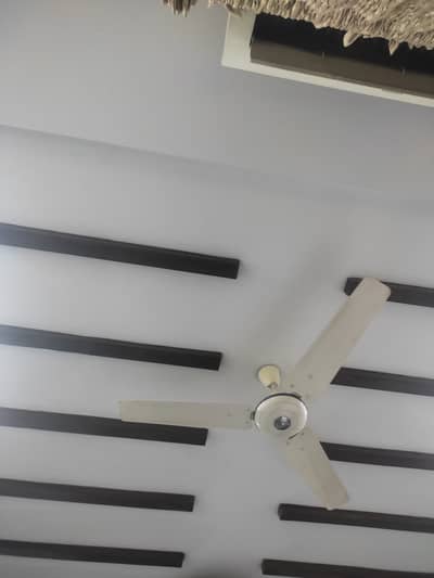 56" Pak fans total 8 nos in use