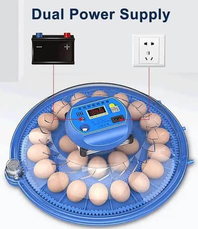 incubator 52 eggs
