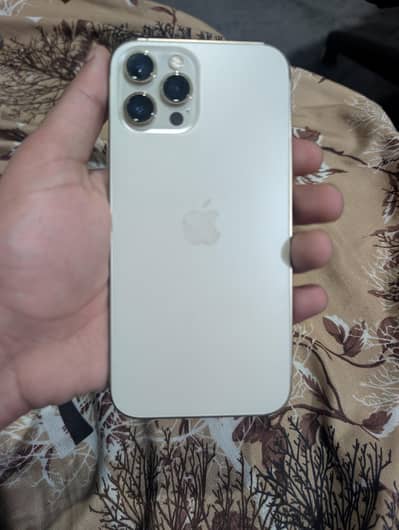 i phone 12 pro max official pta approved