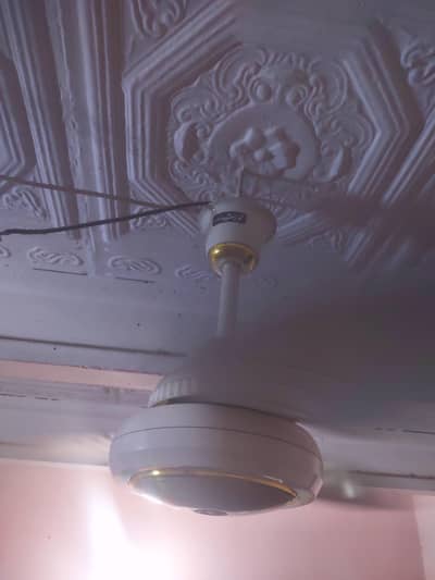 khorshid fan original card par