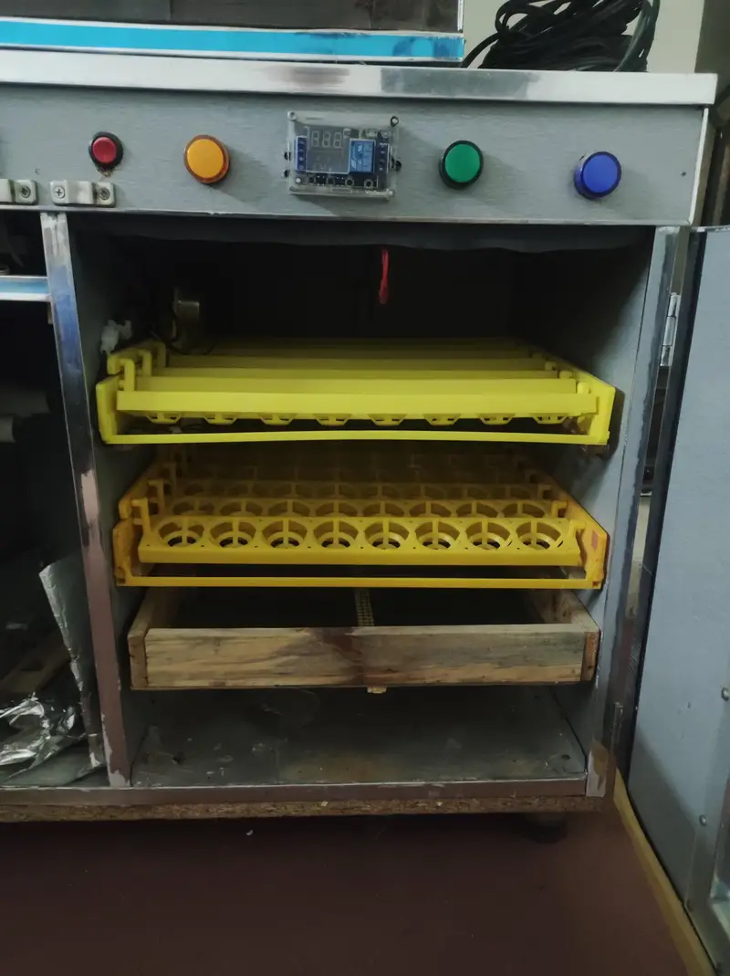 incubator 100 plus eggs — photo 3