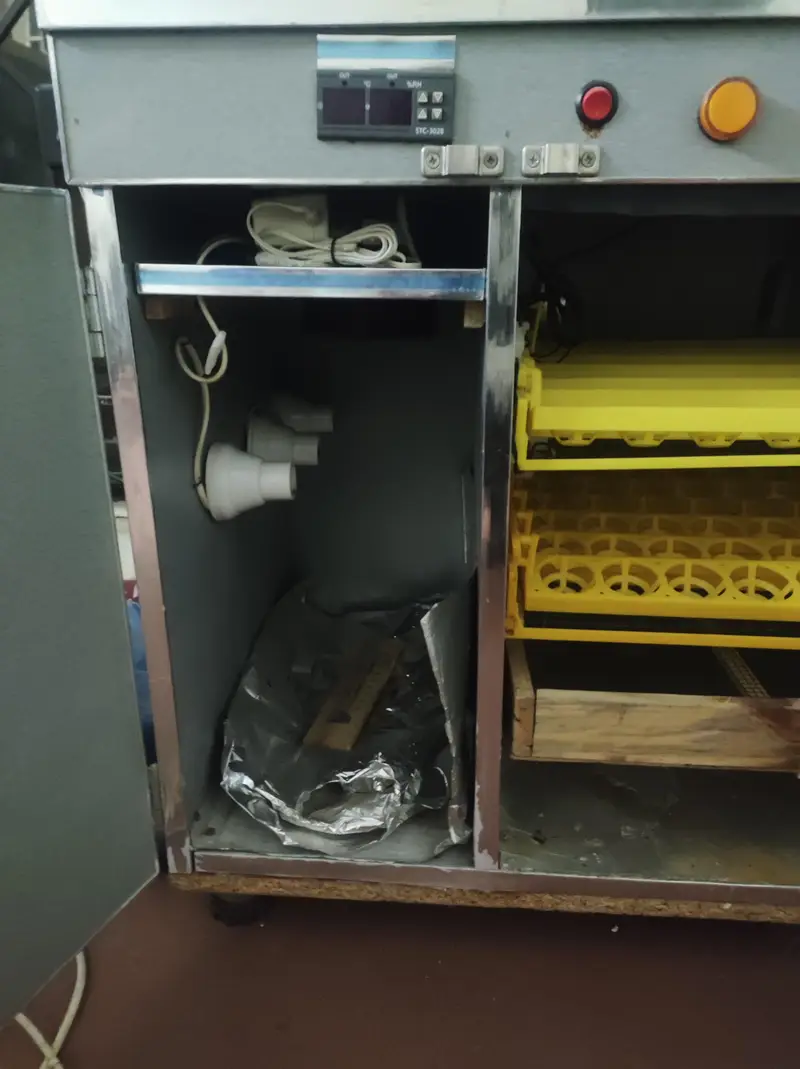 incubator 100 plus eggs — photo 4
