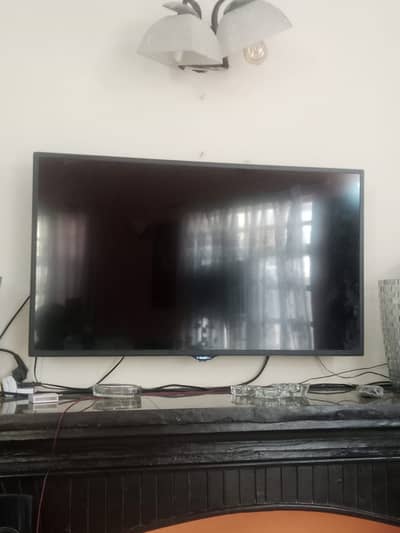 Eco star LEDs for sale