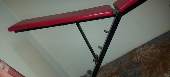 adjustable bench and wall mounted bar