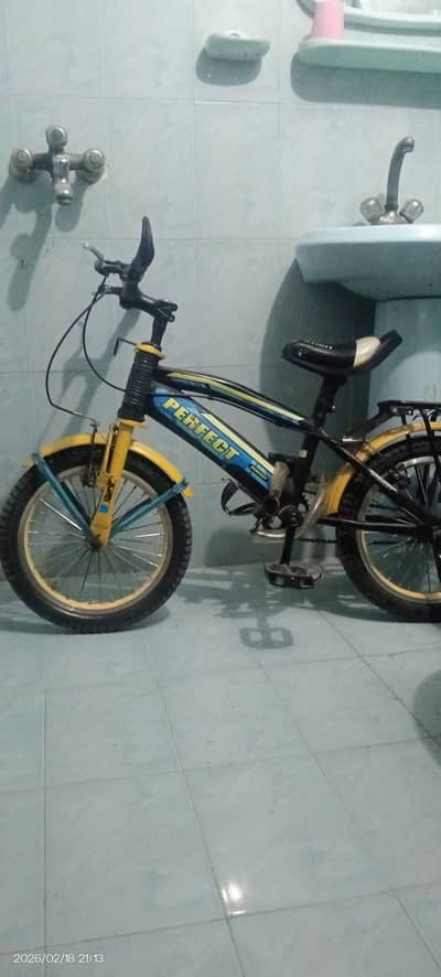 perfect China Bicycle