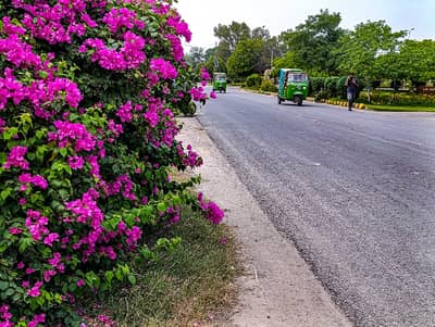 22 Marla Upper Portion For Rent In Wapda Town Phase 2