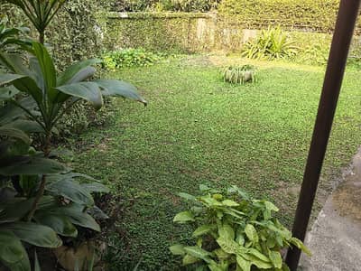 Syed Maratab Ali Road 1 Kanal Double Storey House