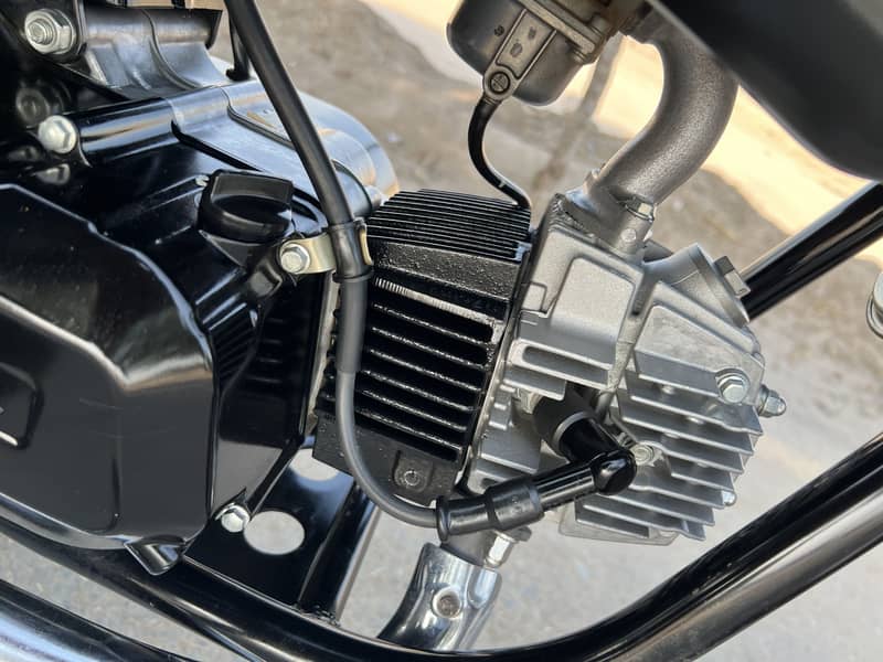 Prider 2024 model 12