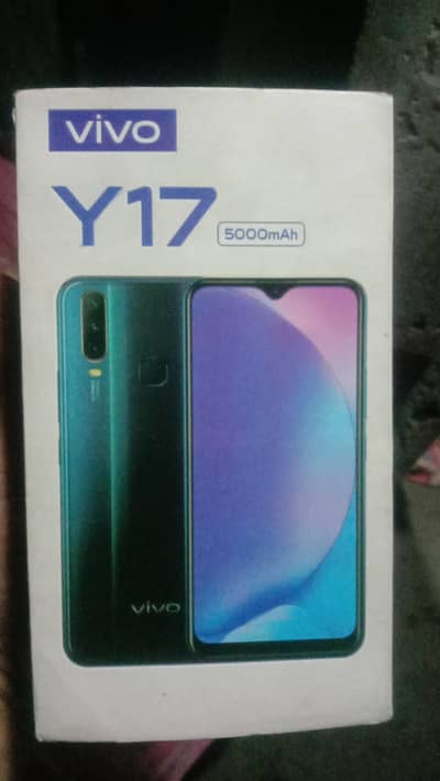 vivo y17 8/256 with box exchange possible