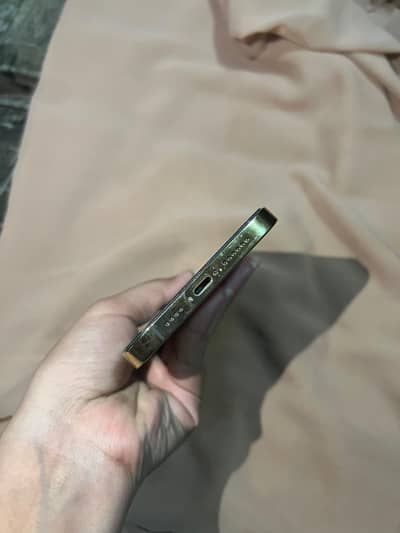 iphone 13 pro max fu