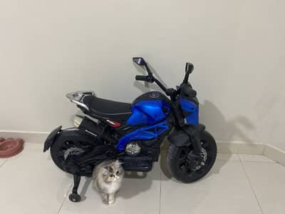 Kids electric Bike Rubber tires