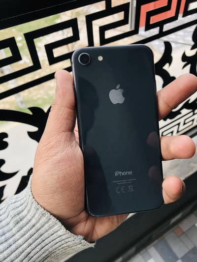 iPhone 8 256 GB