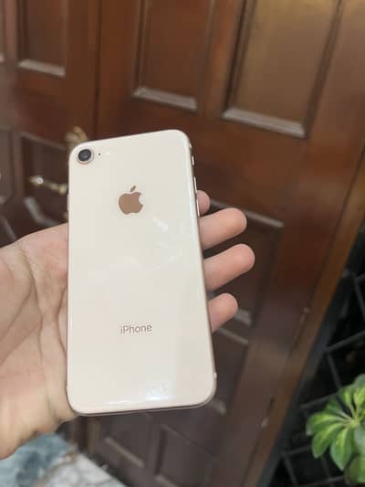 IPHONE 8 PTA APPROVED