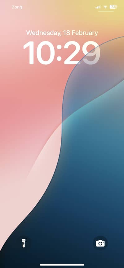 I phone xs max PTA approved