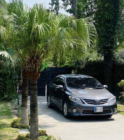 Toyota Corolla GLi for sale