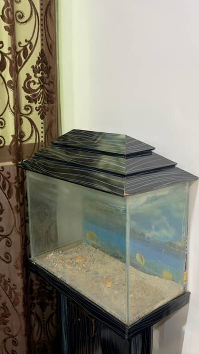 Fish Aquarium