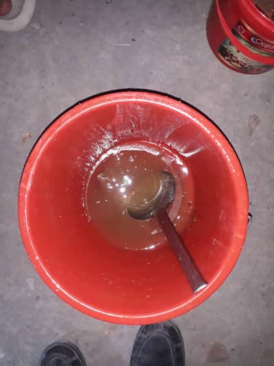 chitral's wild berry honey